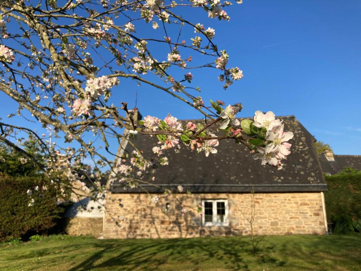 Le Clos De Kermadec Kervignac Eksteriør billede
